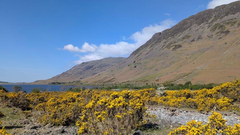 Wild Saunas in the Lake District: 2026 Venue Guide