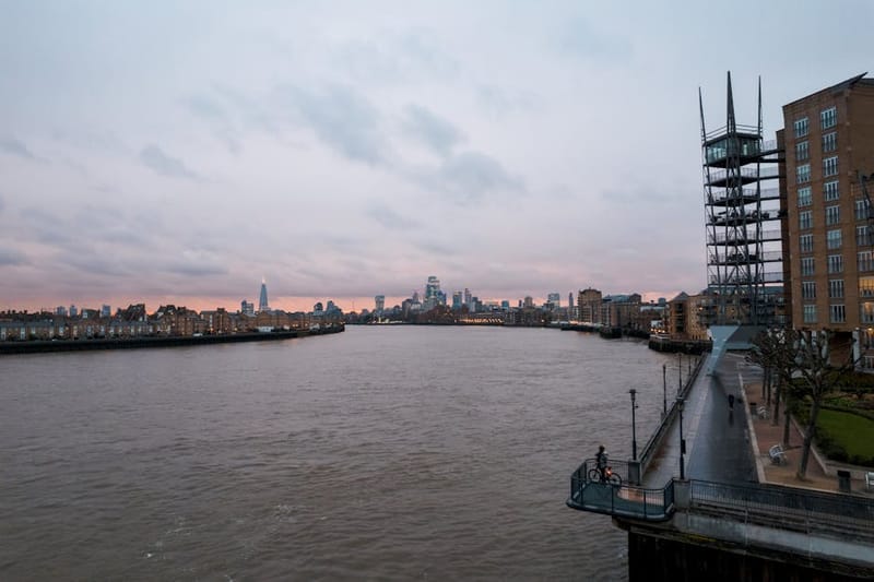 Wild Saunas in London: 2026 Venue Guide