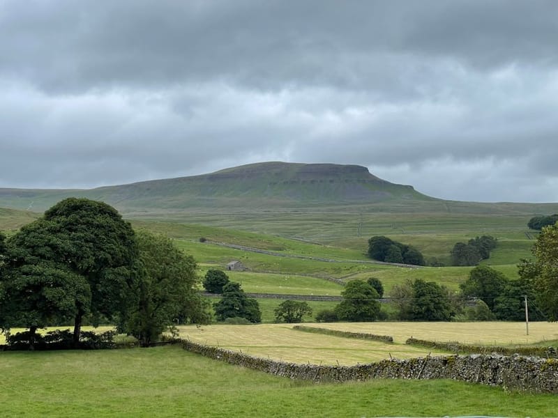 Wild Saunas in Yorkshire (2026): Coast, Dales & Urban Venues